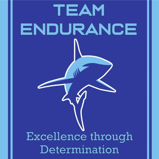 Team-Endurance